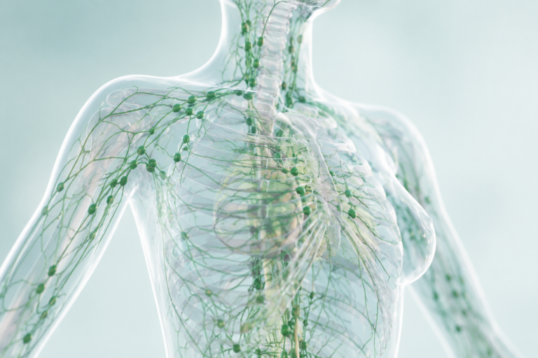 Lymphmassage vs Lymphdrainage – der klare ganzheitliche Guide für Anfängerinnen